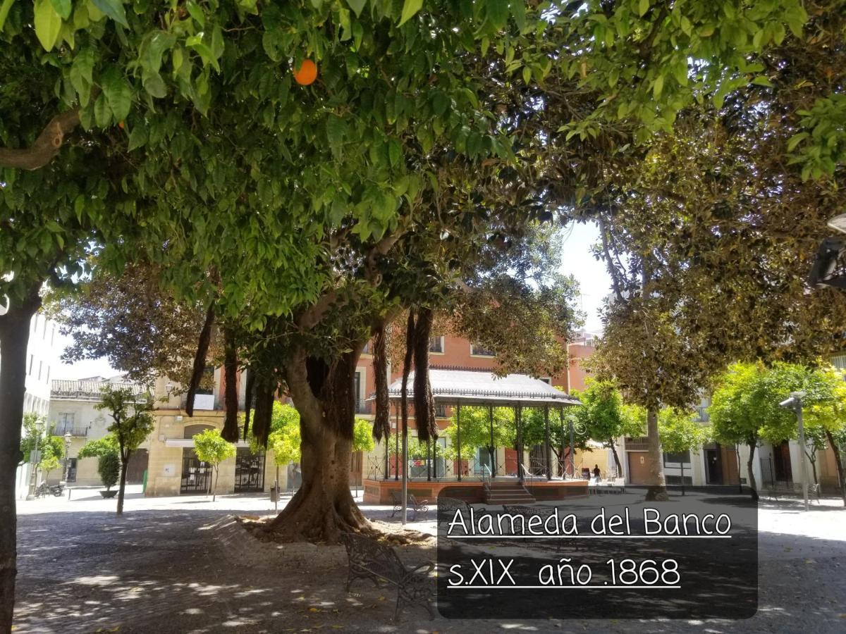 Appartement Jerez Centro Historico à Jerez de la Frontera Extérieur photo